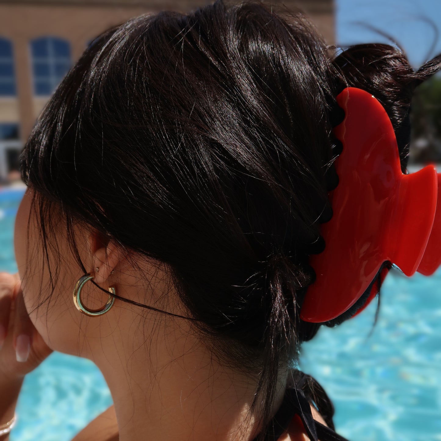 Poppy Acrylic Claw Clip (2 sizes)