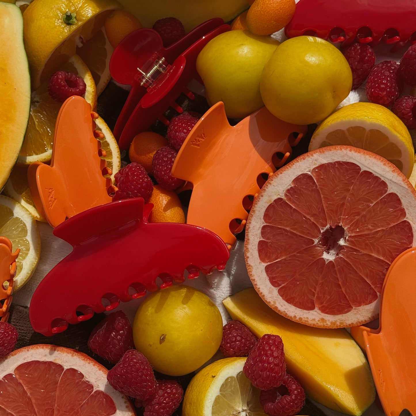 Clementine Acrylic Claw Clip (2 sizes)