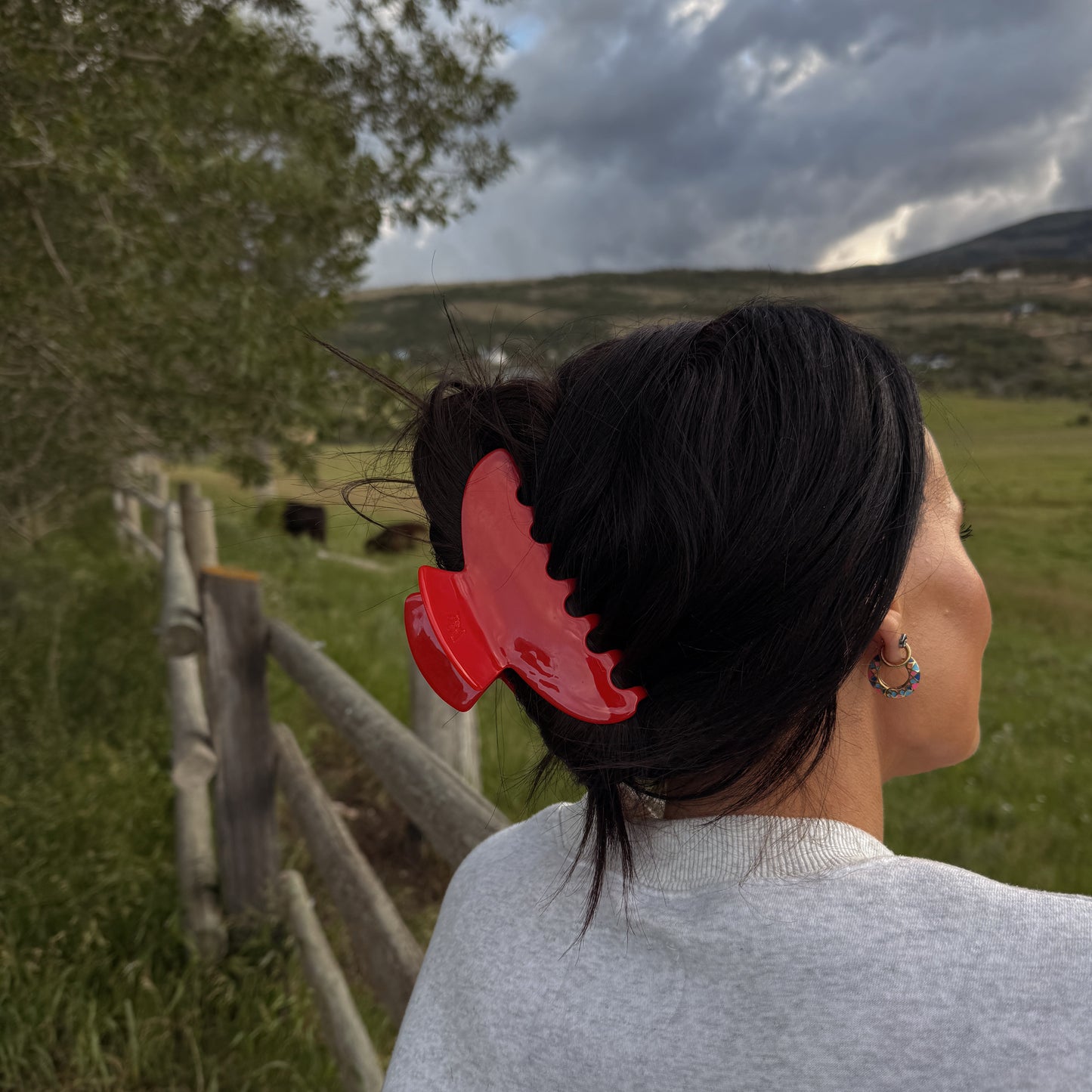 Poppy Acrylic Claw Clip (2 sizes)